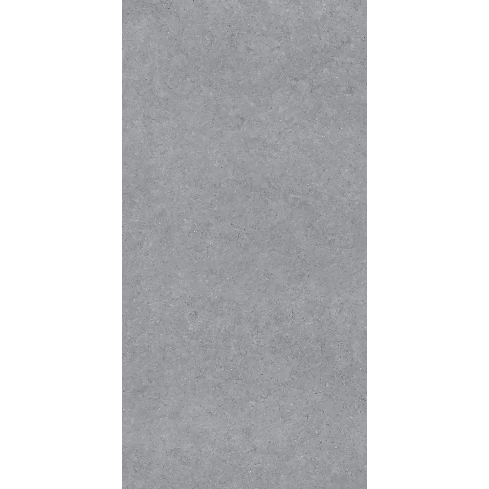 Керамогранит "Sonex" Forever Gris Matt 60x120x0.82 матовый цвет серый камень — купить в Ноябрьске